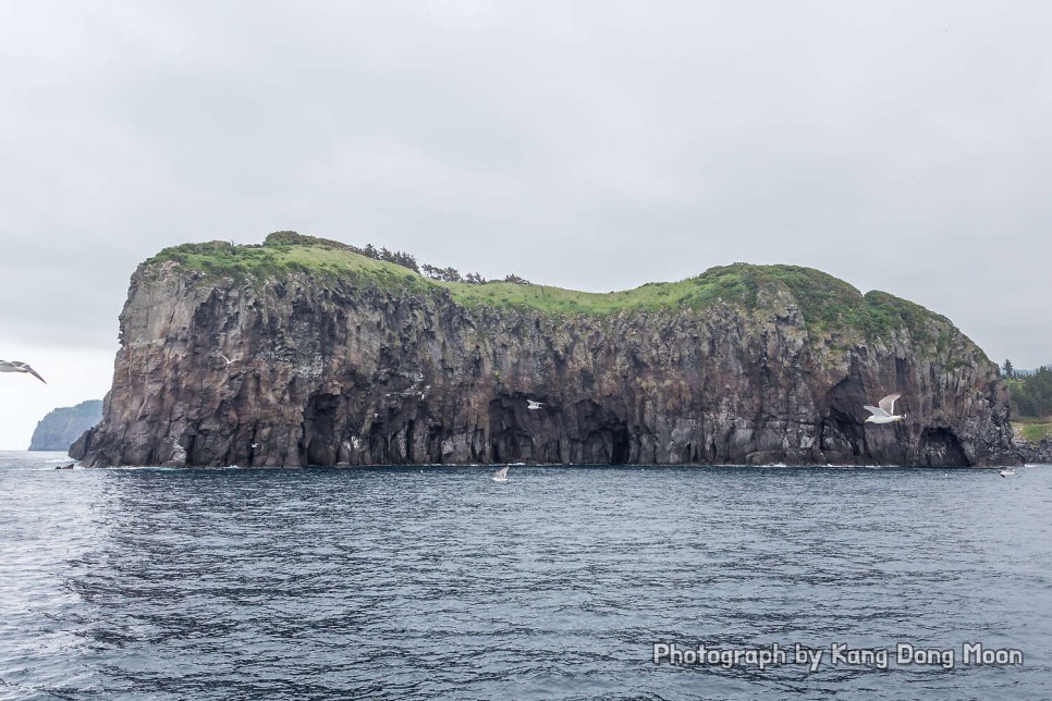 울릉도 여행 가볼만한곳 유람선 배 타기 국내 바다 추천 경북 동해안 2박3일 22