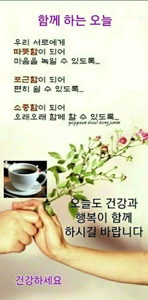 봄꽃 목련과 벚꽃이 한창입니다 / 꽃길만 걸으면 (03/23/22) 63