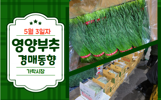  [경매사 일일보고] 5월 3일자 가락시장 영양부추 경매동향을 살펴보겠습니다!