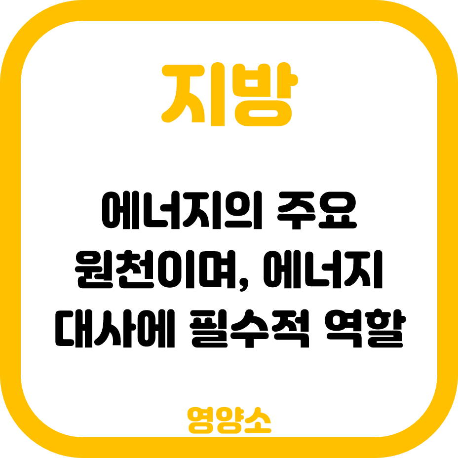 에너지의 주요 원천