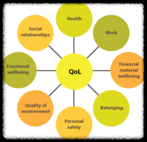 삶의 질(Quality of Life) factors 예시