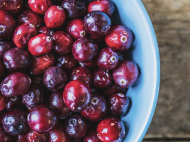 여성의 방광염의 원인