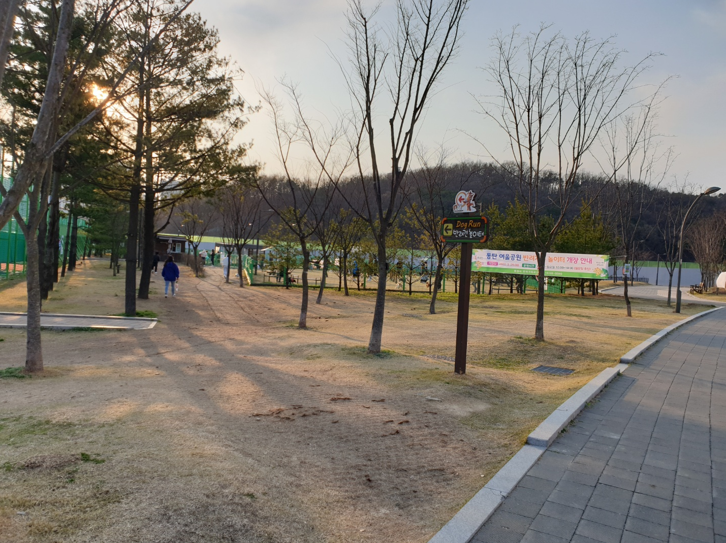 동탄 여울 공원 도그파크