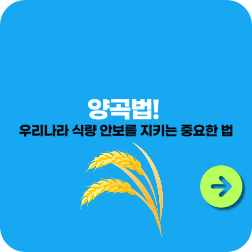 양곡법!