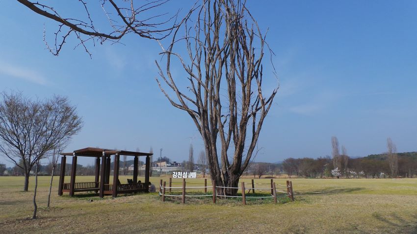 푸른 하늘,가운데에 키 큰 고사목, 왼쪽에 쉼터, 바닥은 초원, 멀리 흰글자판에 강천섬,