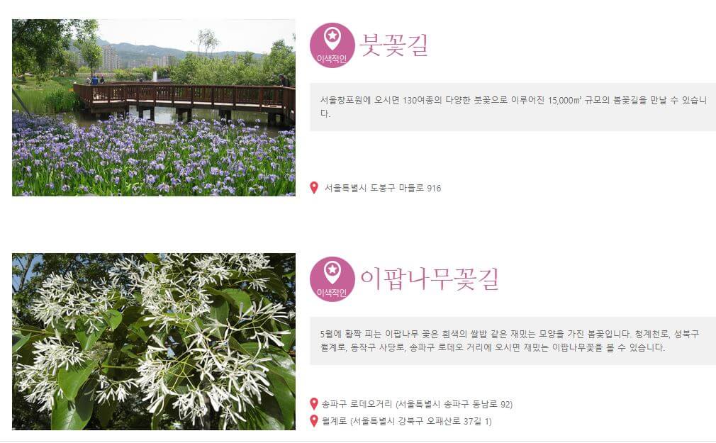 도시에서 즐기는 봄꽃 여행, 서울, 봄꽃으로 물들다. 서울 꽃길 소개