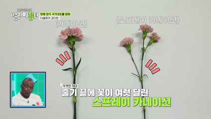방송 보고 처음 안 화훼장식 국가대표 jpg | 인스티즈