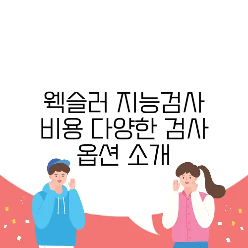 웩슬러 지능검사 비용 다양한 검사 옵션 소개
