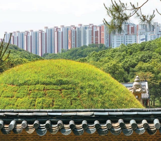  [공사허가청과 문화재청과의 싸움] 문화재보호법 위반  논란 ‘왕릉 뷰’ 아파트, 입주 시작..."시공사에 피해가면 안돼"