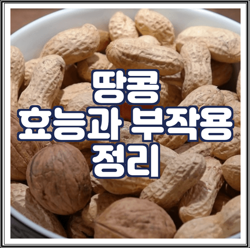  땅콩 효능과 부작용 정리