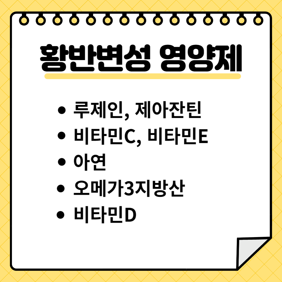황반변성 영양제