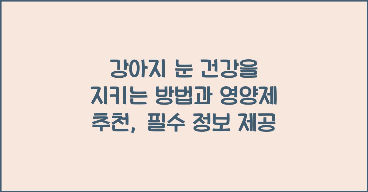 강아지 눈 건강을 지키는 방법과 영양제 추천  