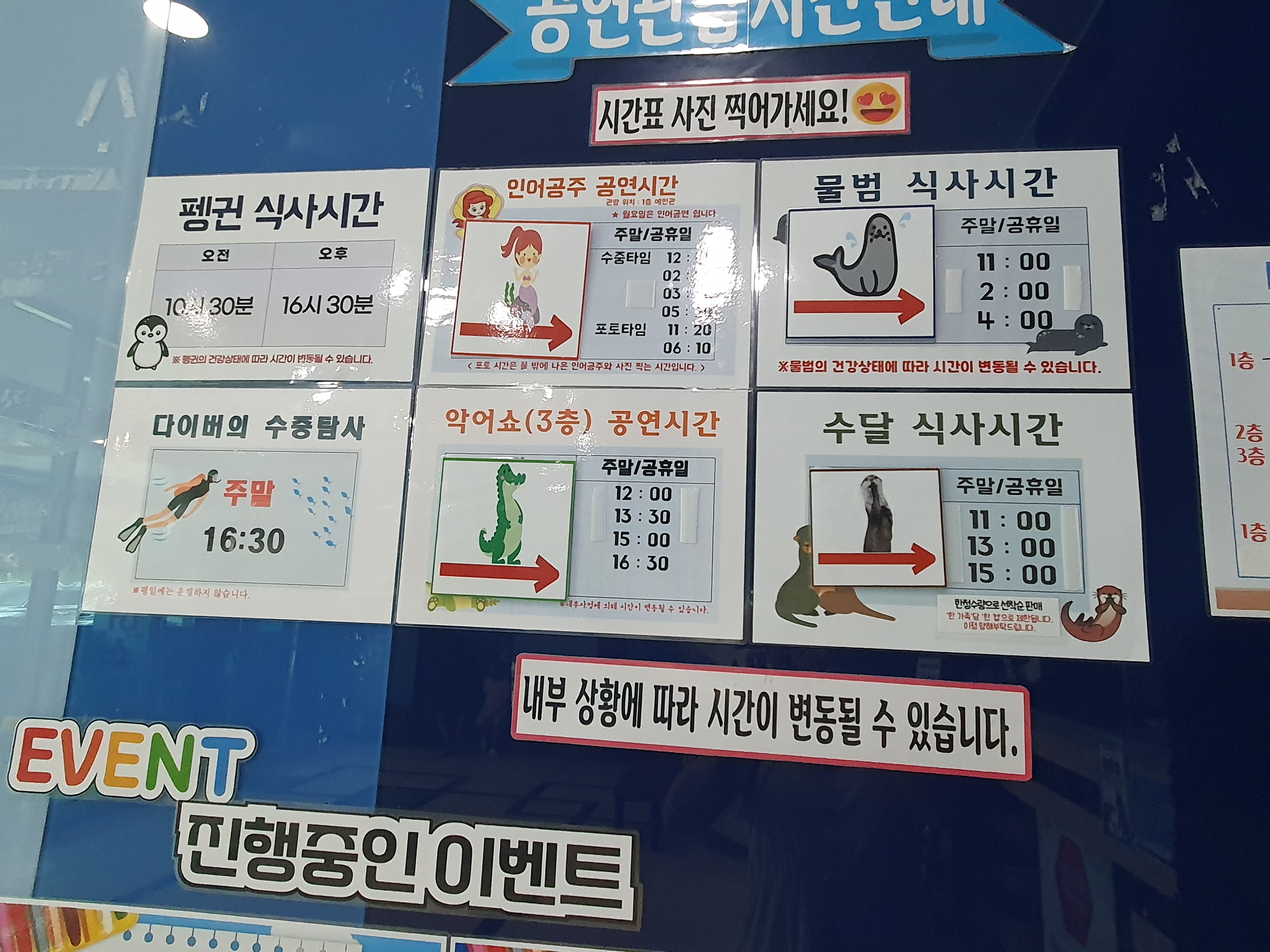 공연 시간표