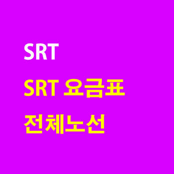 SRT 요금표 전체 노선 완벽 정리