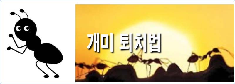  개미 퇴치법