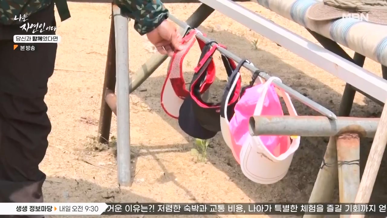나는 자연인이다.E556.230532p-NEXT.mp4_20230601_201456.348.jpg