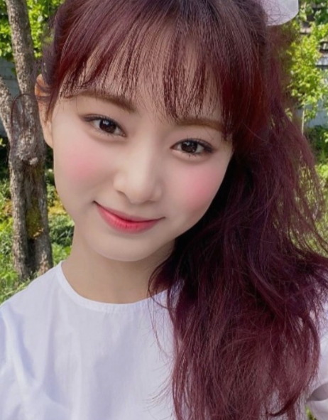  트와이스 쯔위 프로필