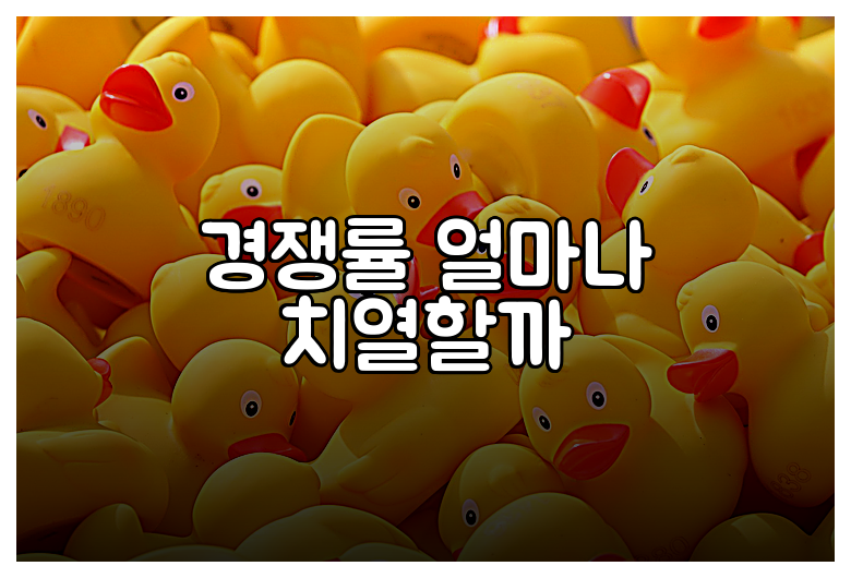 경쟁률 얼마나 치열할까