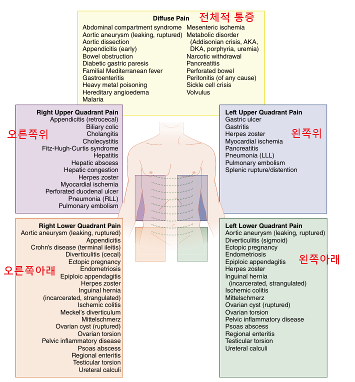 위치에 따른 복통의 원인들