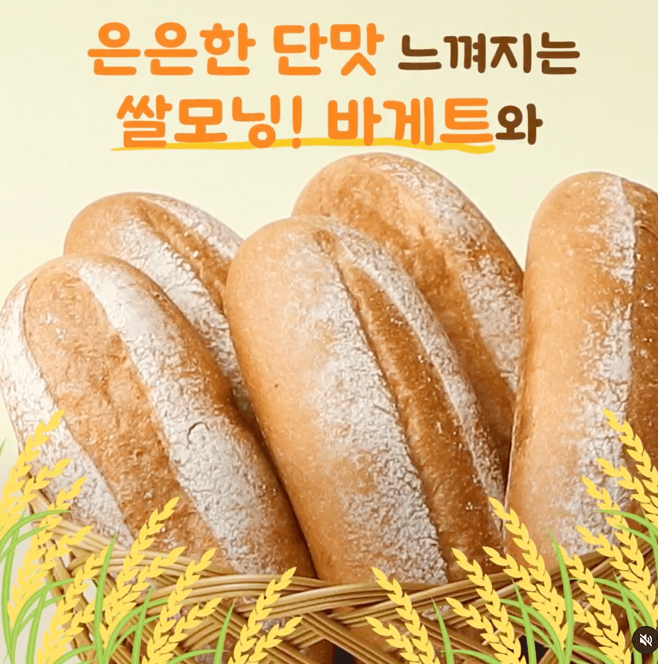 뚜레쥬르