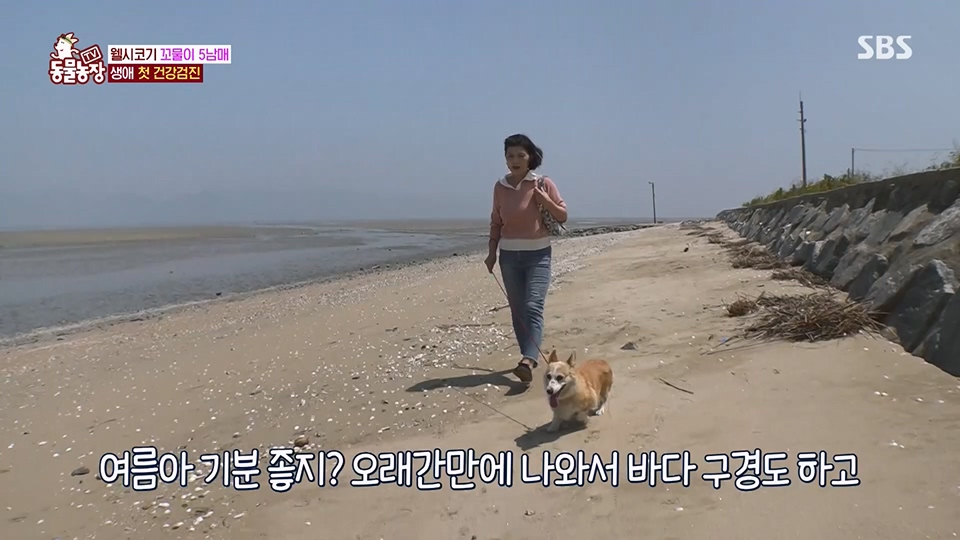 TV 동물농장.E1126.230625p.H264-F1RST.mp4_20230626_204258.010.jpg