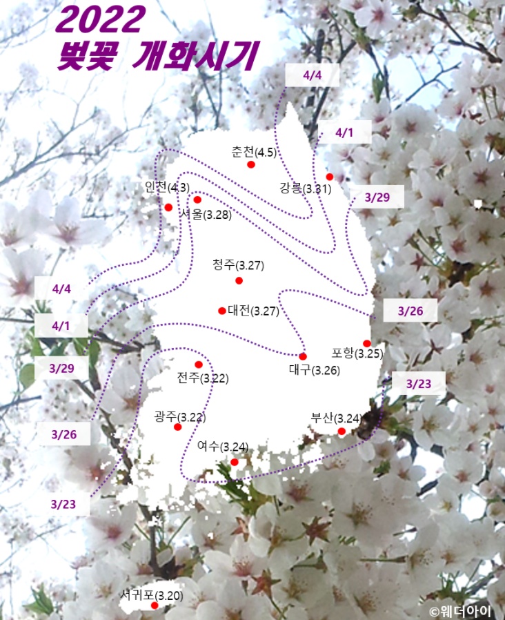 2022 벚꽃 개화시기 지도