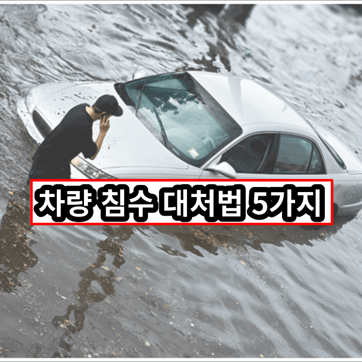 홍수로 인해 차량이 침수되서 밖에 나와서 전화로 구조 요청을 하고 있는 남성