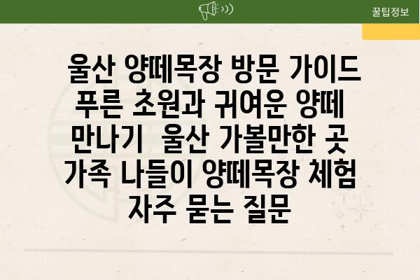  울산 양떼목장 방문 가이드 푸른 초원과 귀여운 양떼 만나기  울산 가볼만한 곳 가족 나들이 양떼목장 체험 자주 묻는 질문