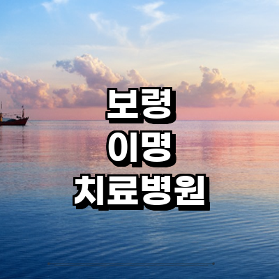 보령시 이명