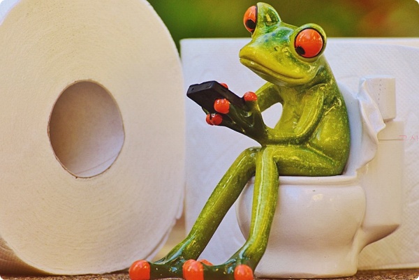 변기에 앉아있는 개구리 모형