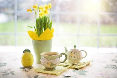 창문으로 들어오는 봄 햇살과 테위블 위에는 차 한잔과 수선화 화분이 놓여 있다