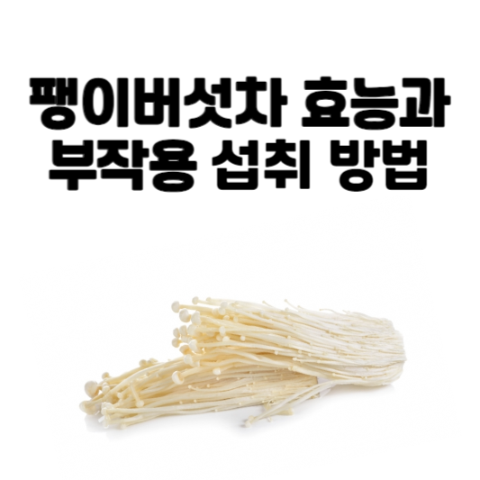 팽이버섯차 효능과 부작용 및 섭취 방법