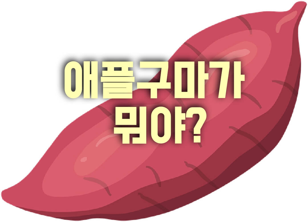  애플구마가 뭐지? 놓치면 후회할 고구마 요리법, 구매할수 있는 곳!