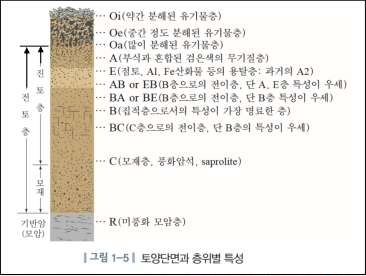 모재 이미지