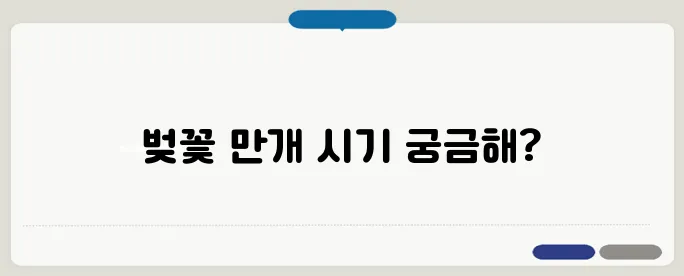 벚꽃 개화시기 & 기온 변화! 언제 만개할까?