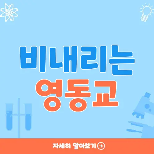 비내리는 영동교