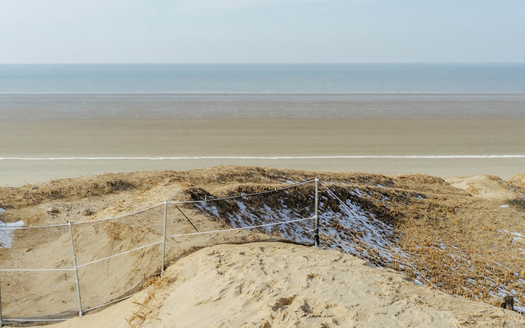 Taean