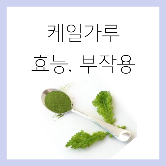 케일가루 효능, 부작용 썸네일