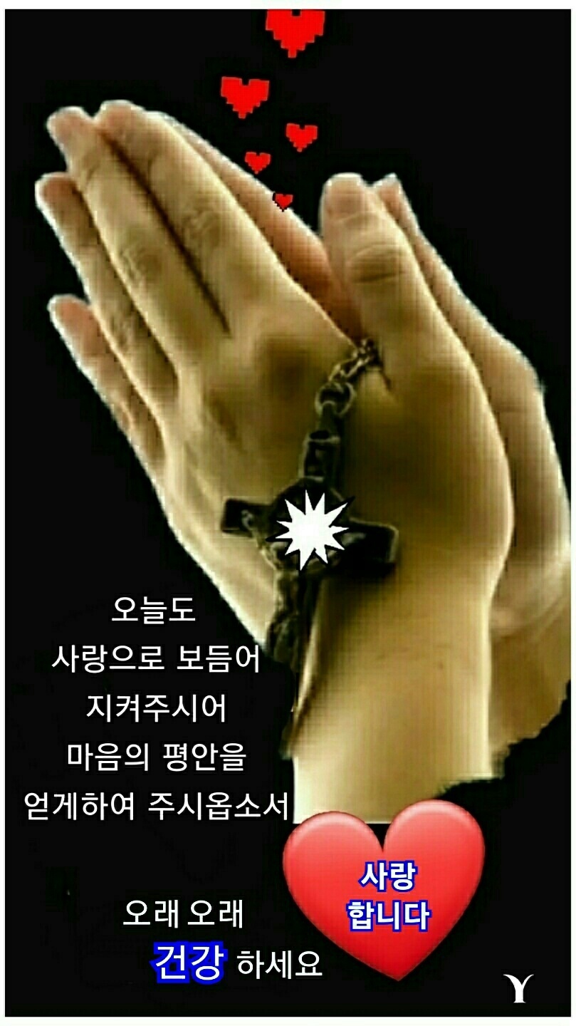  오늘의 좋은글 267번째 갈망 하는 것을 얻기 위해 노력을 해야 진정한 활동 입니다.