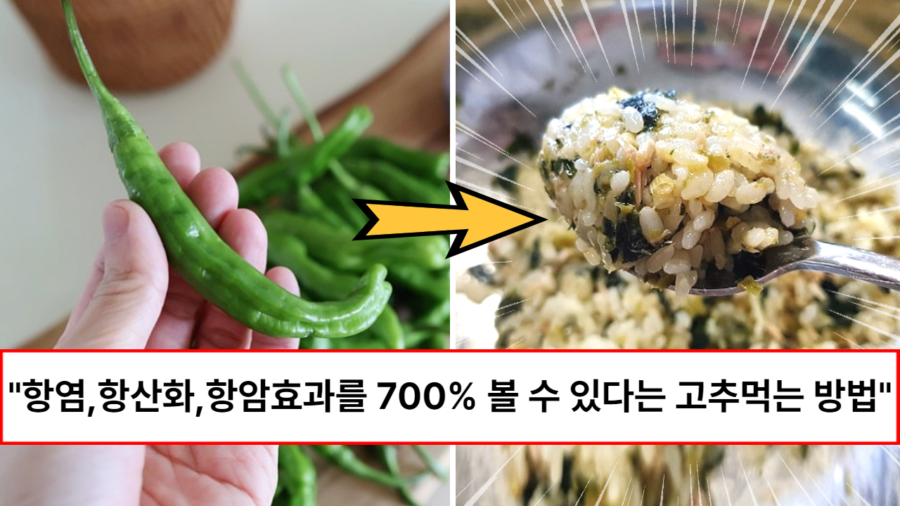 “1000원짜리 고추로 보약드세요” 요리의 대가 친구 시어머님이 알려주신 고추 다대기 특급 보약 비법