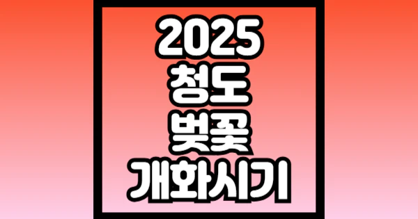 2025-청도-벚꽃-개화시기