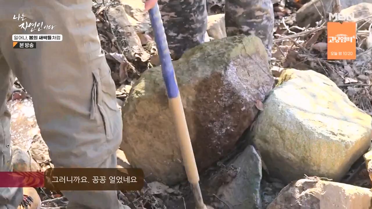 나는 자연인이다.E593.240215p-NEXT.mp4_20240215_200727.953.jpg