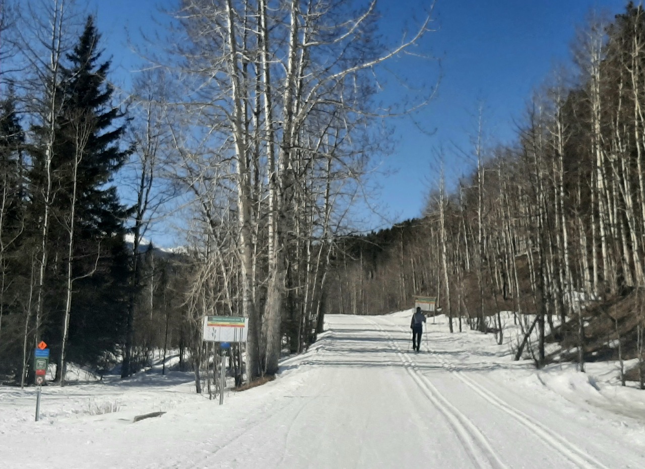 23 0321 화 W. Bragg Creek 둘이 가서 따로놀기(앤마리,me)