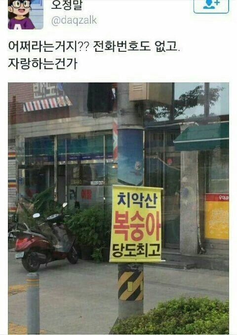  요즘 유행하는 짤,귀여운 이미지 모음
