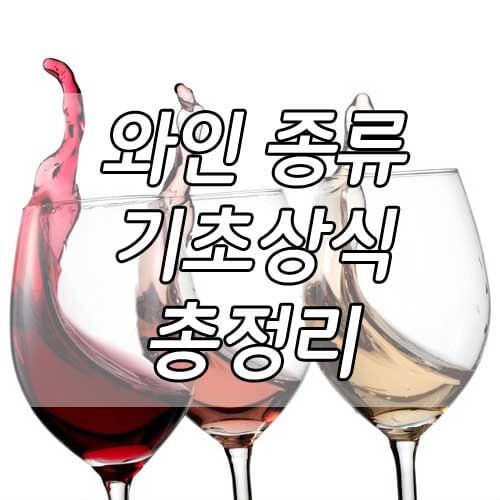 와인 종류&#44; 와인 기초 상식 총정리