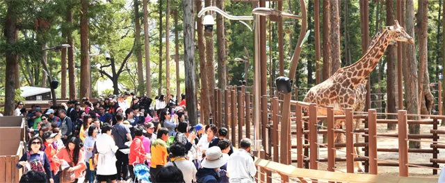부산동물원 대형동물원 24개월 미만 무료 연중무휴 완벽 이용 가이드_2