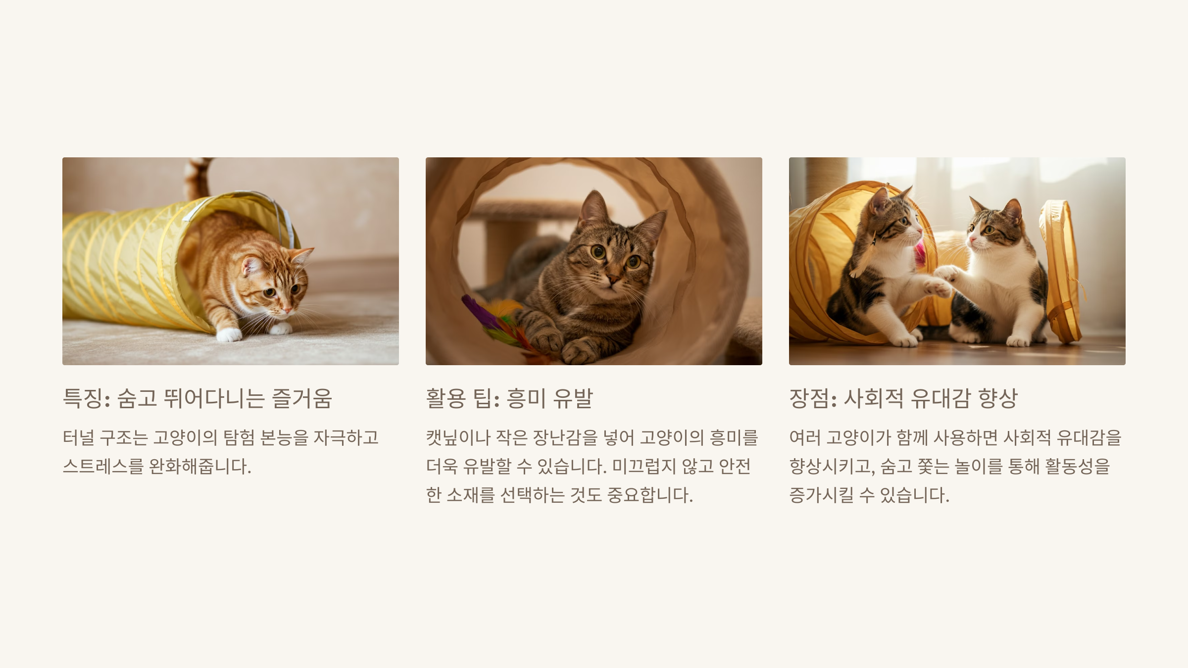 고양이 터널