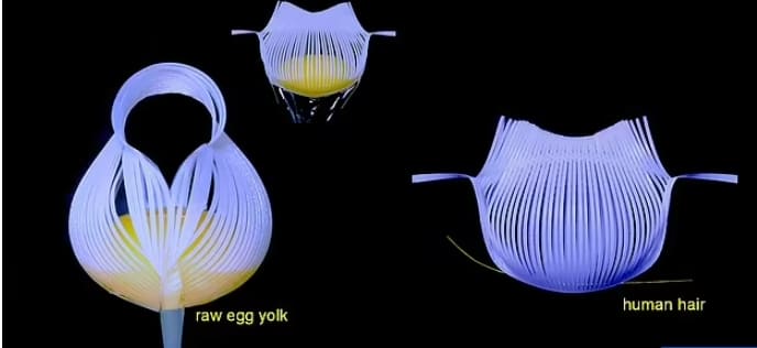계란 노른자 들어 올리는 종이접기에서 영감받은 로봇 도구 VIDEO: Watch this origami-inspired robotics tool lift egg yolks and bubbles