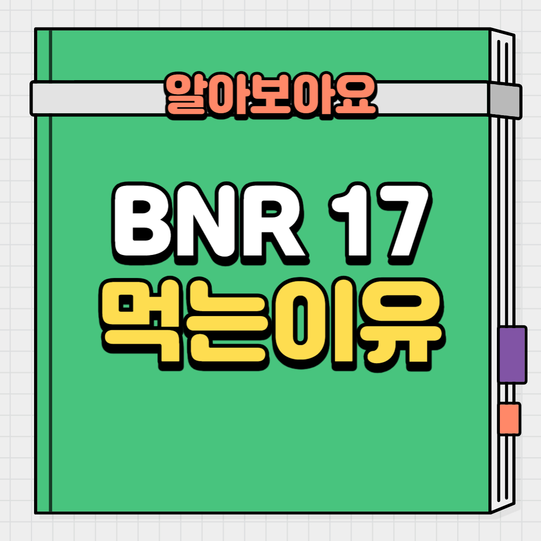  BNR 17 유산균의 효능