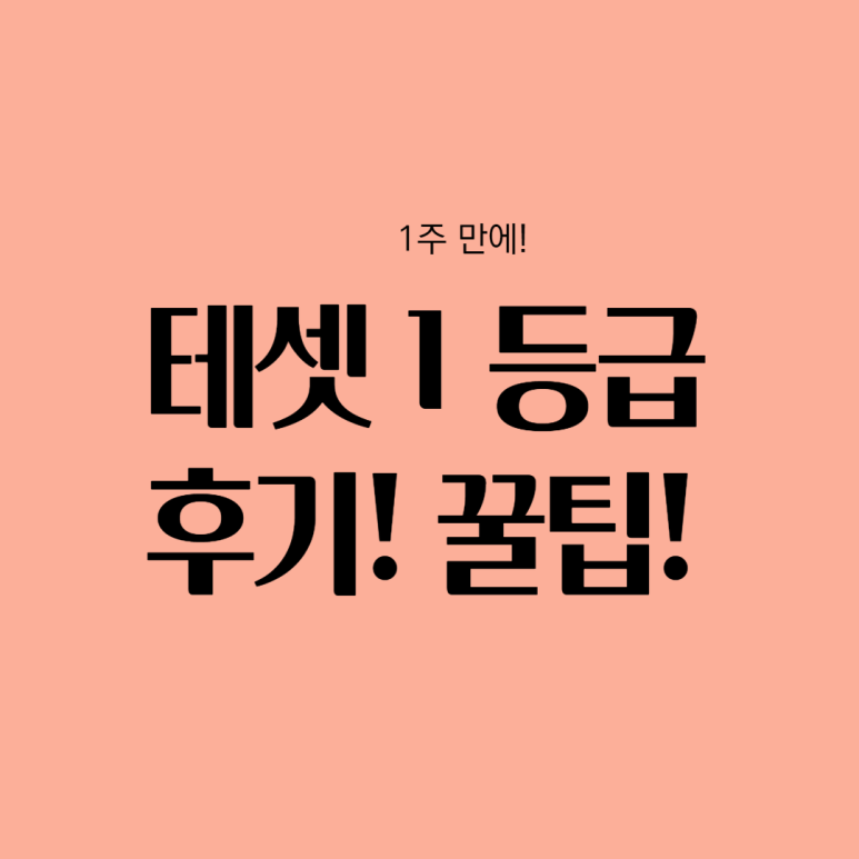  테셋/테샛 1급 독학 후기 공부법!(자료첨부) 꿀팁! 1주일 공부 수기